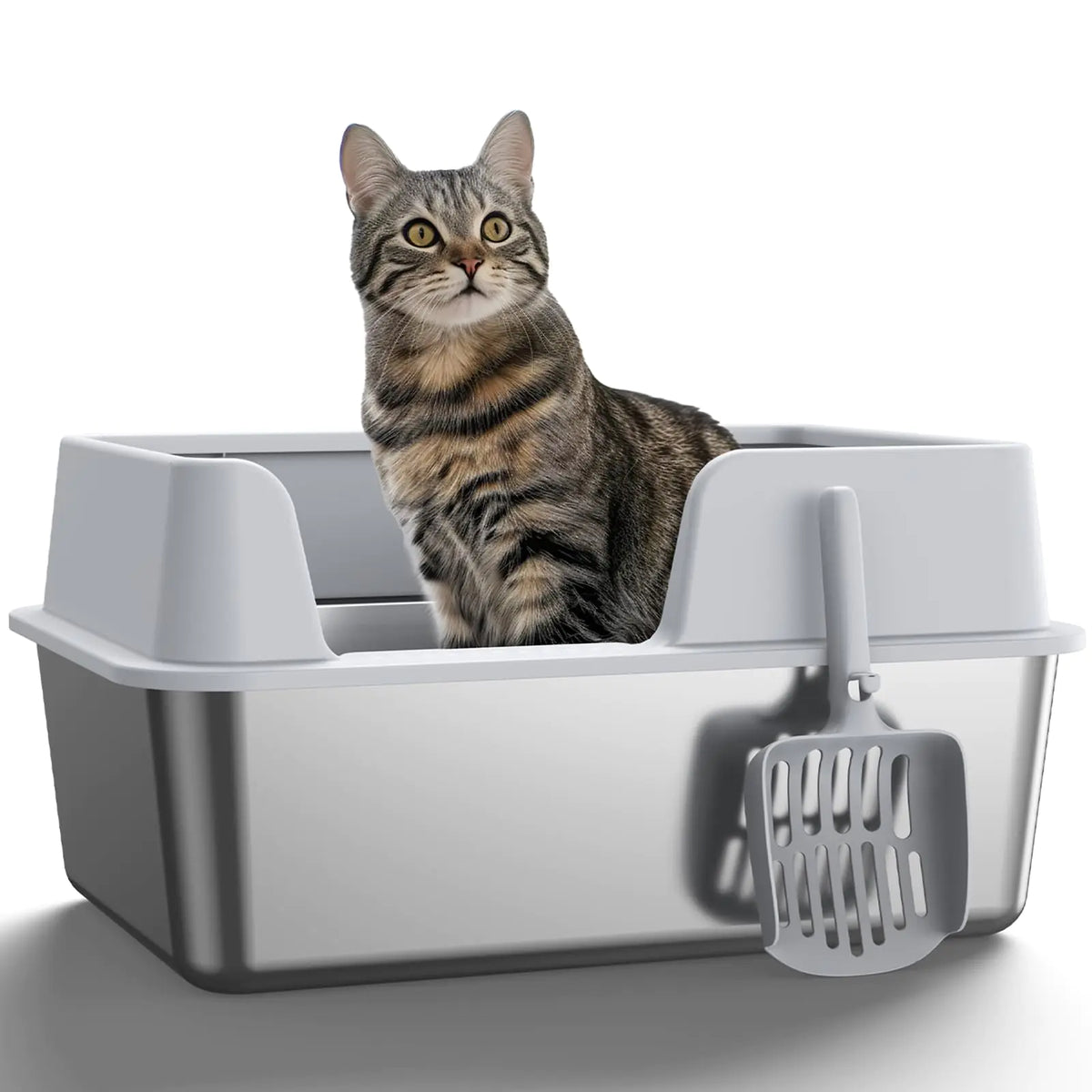 Pet Care & Accessories